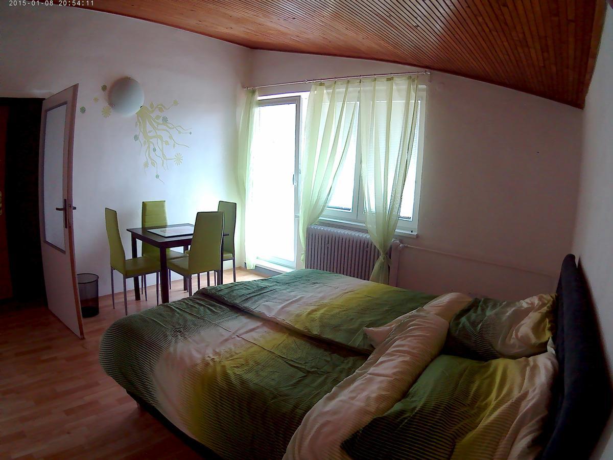 Villa Davinci Cesky Krumlov Luaran gambar